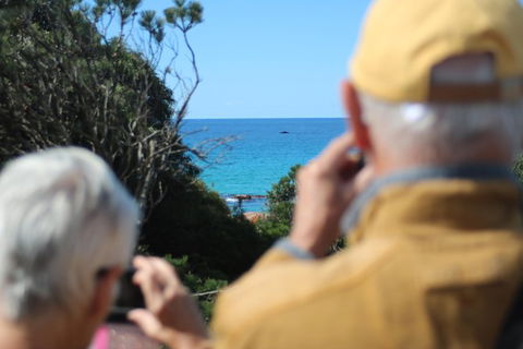 Margaret River Coastal And Wildlife Eco Trip From Busselton Or Dunsborough - Kempsey Accommodation 9