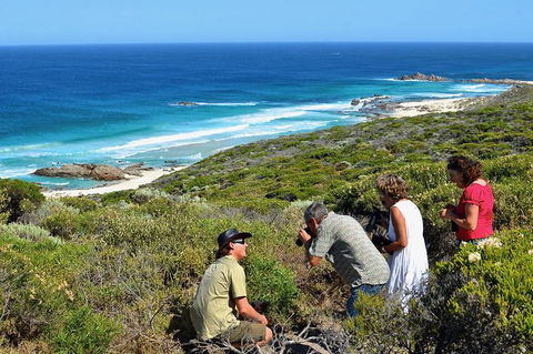 Margaret River Coastal And Wildlife Eco Trip From Busselton Or Dunsborough - Kempsey Accommodation 2