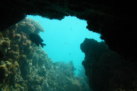 Half-Day Abrolhos Islands Shipwreck Air And Land Tour From Geraldton - Kempsey Accommodation 0