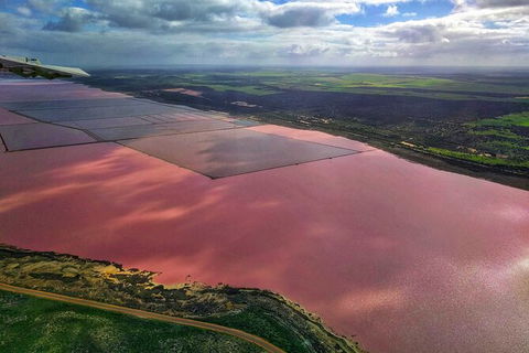 Kalbarri, Pink Lake And Abrolhos Islands Nature Tour - Kempsey Accommodation 3