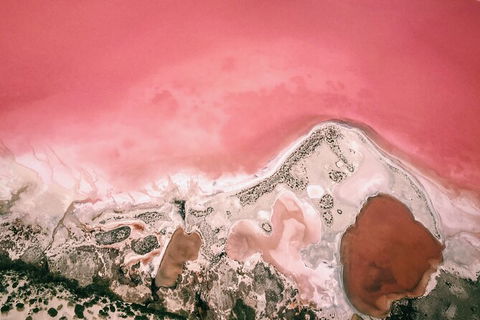 Kalbarri, Pink Lake And Abrolhos Islands Nature Tour - Kempsey Accommodation 6