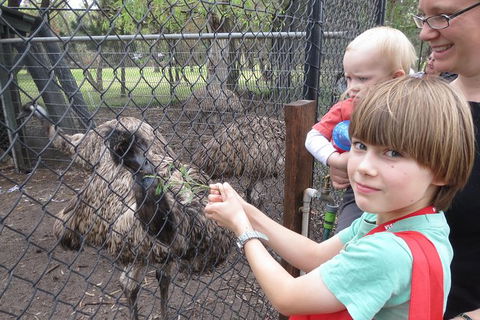 Swan Valley Half-Day Food Tour And Wine Trail From Perth - Kempsey Accommodation 6
