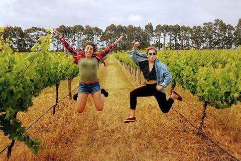 3 Day Margaret River & Beyond Tour - Kempsey Accommodation 0