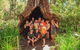 6-Day Esperance Adventure Tour From Perth - thumb 10