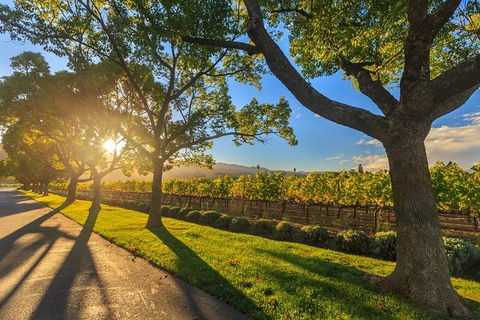 VIP Swan Valley Wine Tour - Premium Small Group Wine & Gourmet Experience - Kempsey Accommodation 1