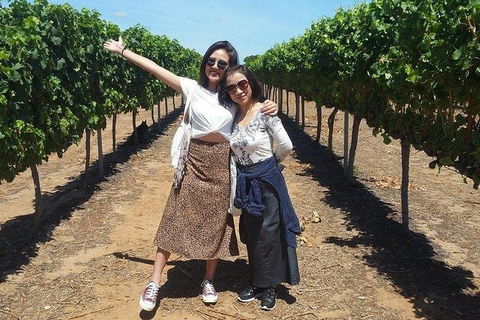 VIP Swan Valley Wine Tour - Premium Small Group Wine & Gourmet Experience - Kempsey Accommodation 3