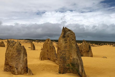 Private Pinnacles Day Tour - Kempsey Accommodation 7