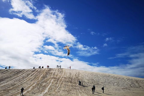 Private Tour To Pinnacles, Yanchep, Lobster Shack And Lancelin - Kempsey Accommodation 1
