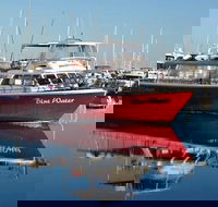 Perth Deep Sea Fishing Trip - Kempsey Accommodation