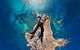 Rottnest Skydive + Hillarys Ferry Package - thumb 6