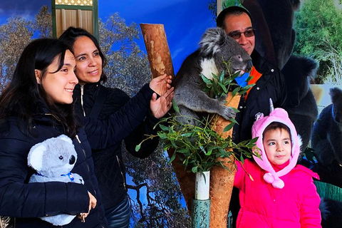 Caversham Wildlife Park, Old Guildford Town & Swan Valley Tour - Kempsey Accommodation 1