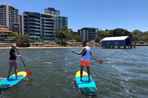 Stand Up Paddle Board Hire - Kempsey Accommodation 5