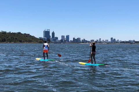 Stand Up Paddle Board Hire - Kempsey Accommodation 3