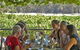 Swan Valley Luxury Private Charter - thumb 9