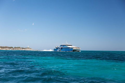 Rottnest Bike & Ferry Package From Perth - Kempsey Accommodation 1