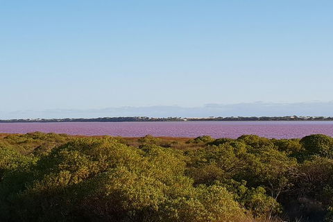 7 Day Perth To Exmouth Return - Kempsey Accommodation 7