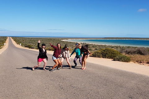 7 Day Perth To Exmouth Return - Kempsey Accommodation 10