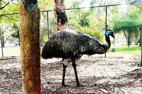 Swan Valley Tour - Kempsey Accommodation 9