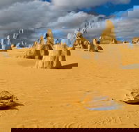 The Pinnacles Sea and Dunescapes Bush Reserve and Sunset Day Tour - Kempsey Accommodation