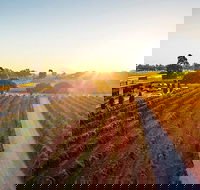 Mandoon Estate VIP Underground - Kempsey Accommodation