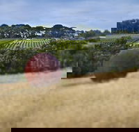 Estate to Plate Montalto Vineyard Gourmet Lunch and Wine-Tasting Tour - Kempsey Accommodation