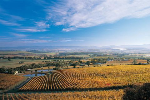 Half Day Yarra Valley Winery Day Trip From Melbourne - Kempsey Accommodation 0