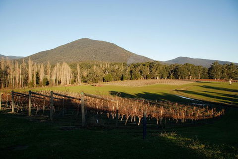 Half Day Yarra Valley Winery Day Trip From Melbourne - Kempsey Accommodation 6