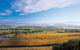 Melbourne City Tour And Half Day Yarra Valley In One Day - thumb 5