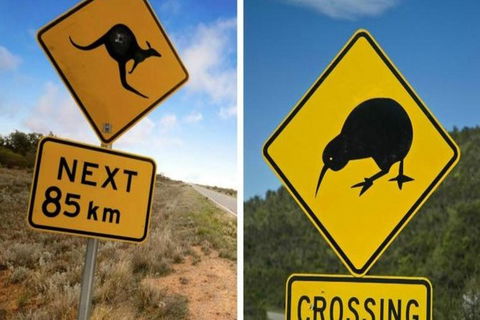 Aroha Tangata Australia And New Zealand 20 Day - Kempsey Accommodation 0