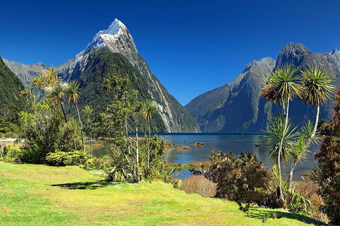 Aroha Tangata Australia And New Zealand 20 Day - Kempsey Accommodation 1