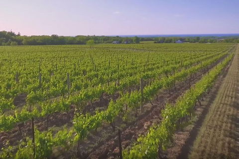 Macedon Ranges Small Group Wine Tour With 2 Course Lunch And Morning Tea - Kempsey Accommodation 1