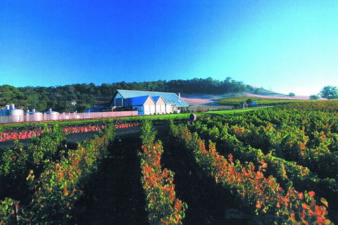 Macedon Ranges Small Group Wine Tour With 2 Course Lunch And Morning Tea - Kempsey Accommodation 4