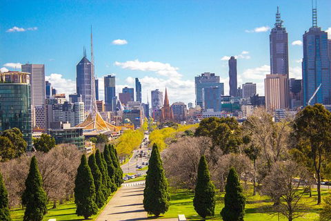 Melbourne Laneways, Arcades And City Morning Tour With Optional Yarra Cruise - Kempsey Accommodation 18