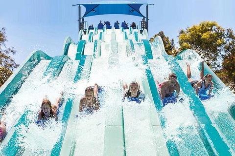 Adventure Park Geelong: General Admission Ticket - Kempsey Accommodation 1