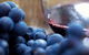 Small Group 6 Guests: Ultimate Mornington Peninsula Food And Wine - thumb 0