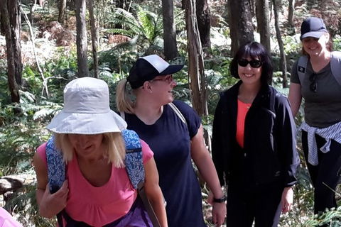 GPS Guided Walks In The Daylesford Forest - Kempsey Accommodation 1