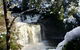 Cradle Mountain Day Tour From Launceston Including Lunch - thumb 9