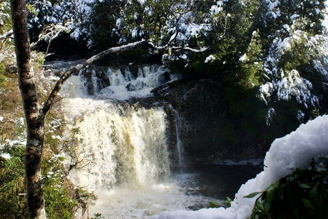 Cradle Mountain Day Tour From Launceston Including Lunch - Kempsey Accommodation 9