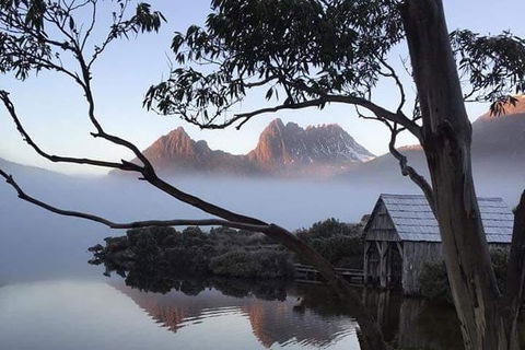 Cradle Mountain Day Tour From Launceston Including Lunch - Kempsey Accommodation 7