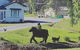 Cradle Mountain Day Tour From Launceston Including Lunch - thumb 5