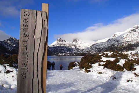 Cradle Mountain Active Day Trip From Launceston - Kempsey Accommodation 12