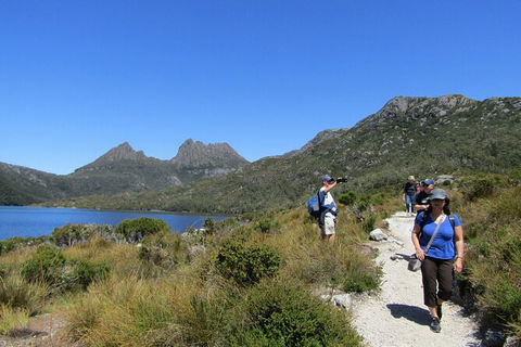 Cradle Mountain Active Day Trip From Launceston - Kempsey Accommodation 9
