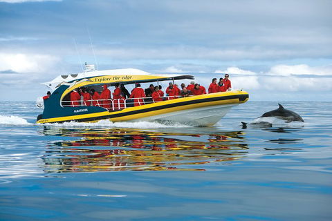 3-Hour Tasman Peninsula Wilderness Cruise From Port Arthur - Kempsey Accommodation 5