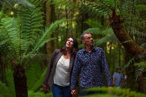West Coast Wilderness Railway: River And Rainforest From Strahan - Kempsey Accommodation 1