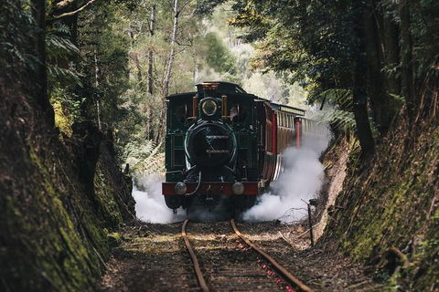 West Coast Wilderness Railway: River And Rainforest From Strahan - Kempsey Accommodation 2
