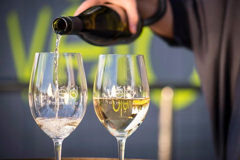 Half Day Tamar Valley Wine Tour - Kempsey Accommodation 1