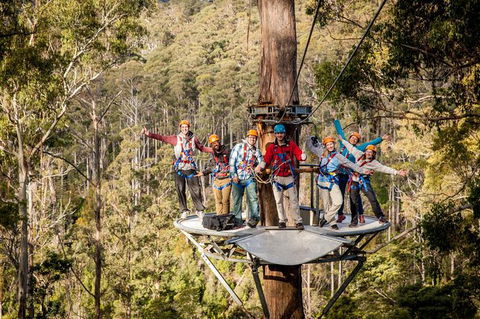 Hollybank Wilderness Adventure - Zipline Tours - Kempsey Accommodation 0