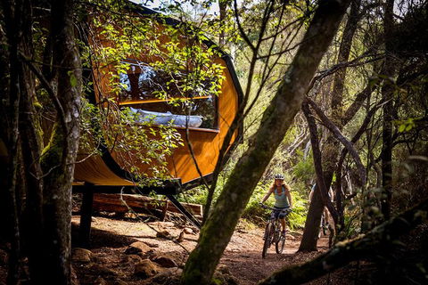 Blue Derby Pods Ride Experience 3-Day Mountain Bike Adventure In Exclusive Pods - Kempsey Accommodation 0