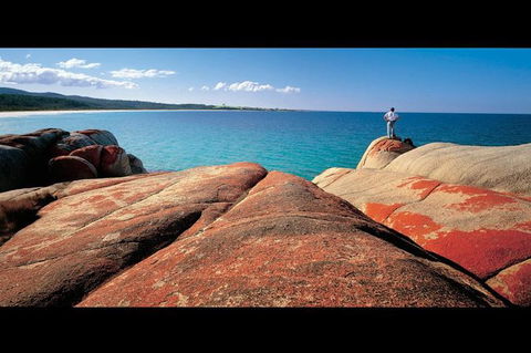 Bay Of Fires Day Trip From Launceston - Kempsey Accommodation 1