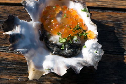 East Coast Splendour Gourmet Food Tour - Kempsey Accommodation 7